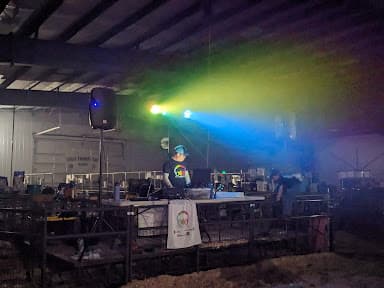 DJ MÜS-IC - Wedding DJ