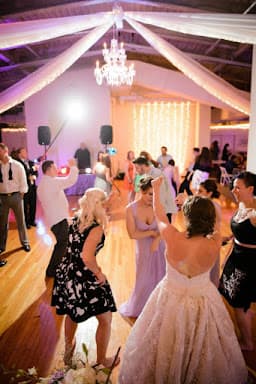 AAA Entertainment - Wedding DJ