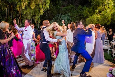 Skyline Entertainment - Wedding DJ