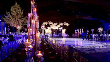 D & S Event Solutions - Wedding DJ