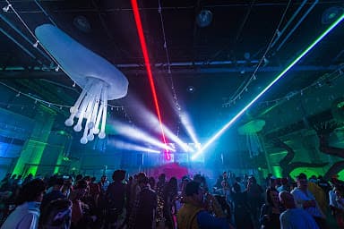 Best Denver Halloween Party - Coloween - Top Ranked - Wedding DJ