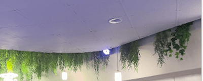 Popular Shows World DJ & Photo Booth