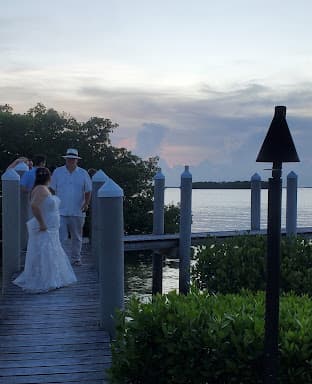 DJ AJ Falcon - Wedding DJ