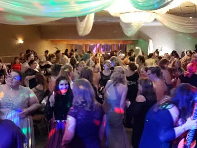 Majestic DJ and Karaoke Service - Wedding DJ