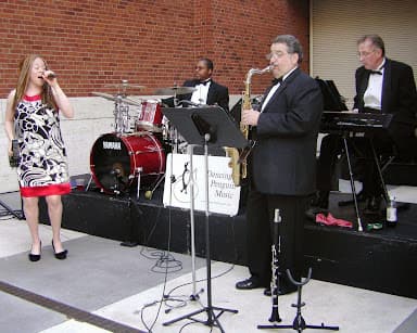 A Dancing Penguin Music - Wedding DJ