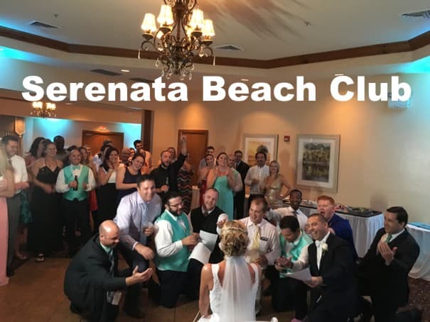 DjsToGo Wedding & Party Pros