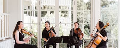 GigHubb - Chicago Live Musicians