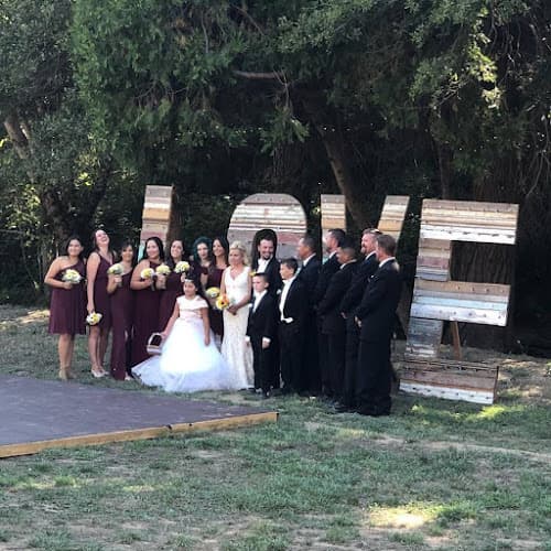 Milestones Wedding DJ Service