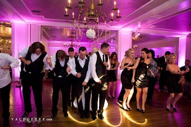 Freestyle Event Services, Inc. - Wedding DJ