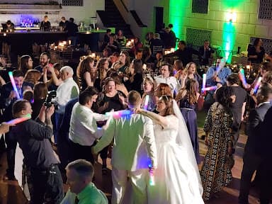 Artistic Audio Entertainment - Wedding DJ