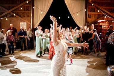 The Music Man DJ, Chris Haug - Wedding DJ