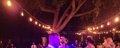 Professional DJ Services