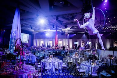 Magnificent Events & Entertainment - Wedding DJ