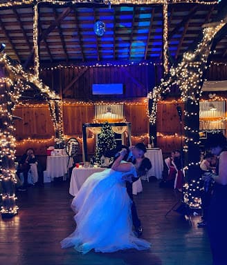 DJ Barrett LLC (Mobile Disc Jockey) - Wedding DJ