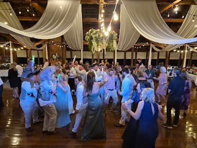 Riverview Entertainment - Wedding DJ