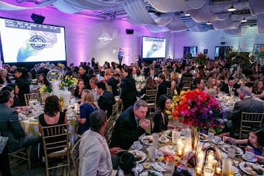 Astounding Sounds & Lighting - Wedding DJ