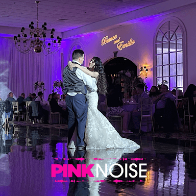 PINKNOISE DJ SERVICES - Wedding DJ