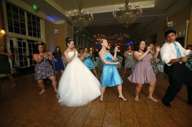 Absolute Best DJ Service - Wedding DJ