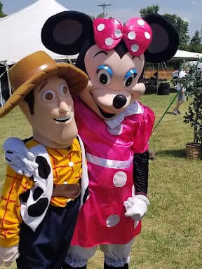 TC Special Entertainment 4 U - Wedding DJ