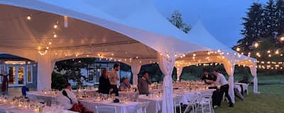 Olympia Party Planning and Rentals *Meeting by Appointment*