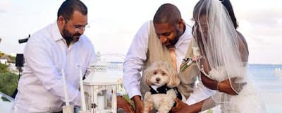 Glamlife Events & Parties