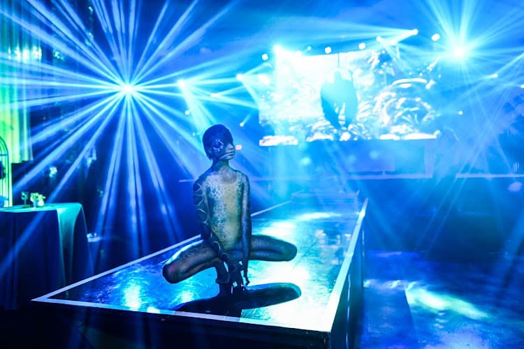 Artists Creating Entertainment