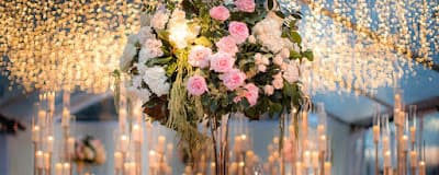 Sonal J. Shah Event Consultants