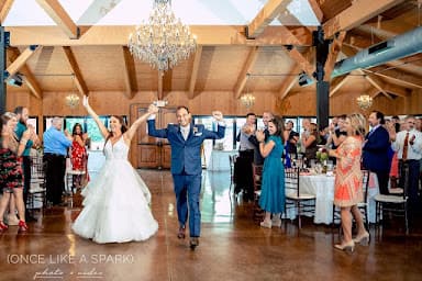 Soundwaves DJ Entertainment - Wedding DJ