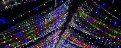 Cricket Party Services LLC