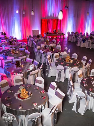 All in One Entertainment