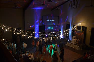 Purple Star Entertainment - Wedding DJ