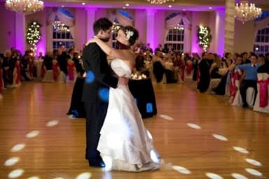 A DJ Connection LLC Wedding services and rentals - Wedding DJ